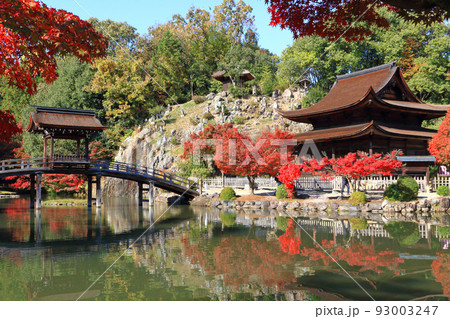多治見市虎渓山永保寺の紅葉 多治見市虎渓山永保寺の紅葉 93003247