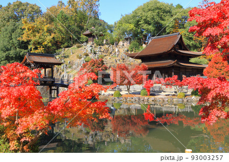 多治見市虎渓山永保寺の紅葉 多治見市虎渓山永保寺の紅葉 93003257