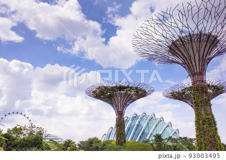 SINGAPORE - APRIL 14,2018: Horizontal view artificial trees of Super Trees group at Gardens by the Bay which one of the best attractions in Singapore. SINGAPORE - APRIL 14,2018: Horizontal view artificial trees of Super Trees group at Gardens by the Bay which one of the best attractions in Singapore. 93003495