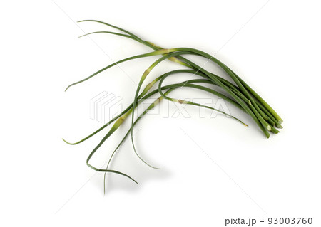Garlic arrows 93003760