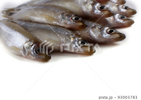 Smelt fishes Smelt fishes 93003783