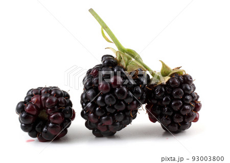 Blackberries Blackberries 93003800