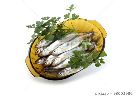 Smelt fish 93003986