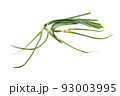 Garlic arrows 93003995