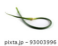 Garlic arrow 93003996