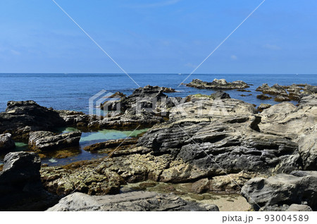 春の根本海岸 アオサ 奇岩 春の根本海岸 アオサ 奇岩 93004589