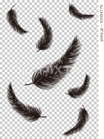 Black Feather Silhouette PNG Images, Black Feather Illustration
