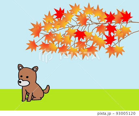 絵 題   犬と紅葉 犬と紅葉のイラスト素材 [93005120] - PIXTA