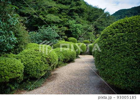 船宿寺_丸いつつじの木々 93005185