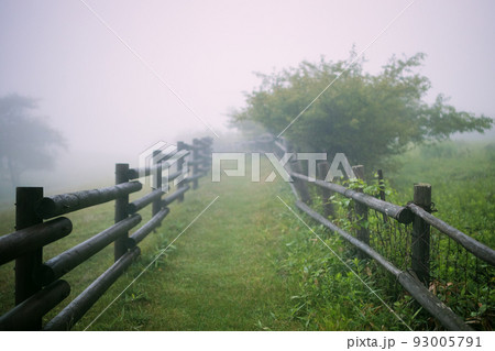 霧の中の高原牧場の柵 93005791