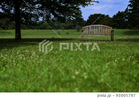 公園に在る古い木製ベンチ 93005797
