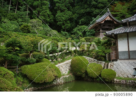 船宿寺_躑躅と緑の池 船宿寺_躑躅と緑の池 93005890