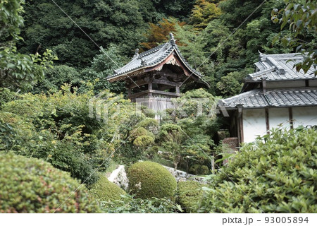 船宿寺_深緑の樹々 93005894