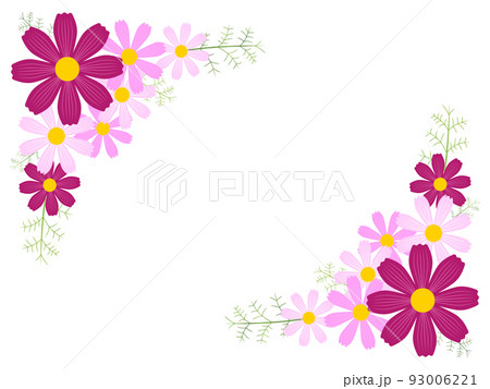 コスモスの背景 93006221