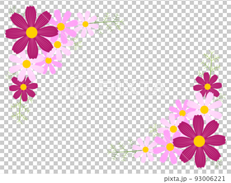 コスモスの背景 93006221