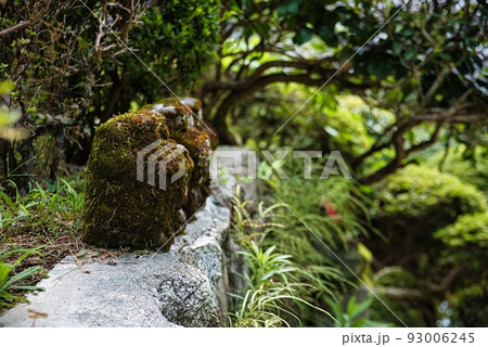 船宿寺_苔むした岩 93006245