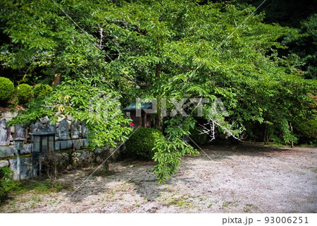 船宿寺_お地蔵さん_緑の木々 93006251