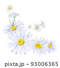 Watercolor digitally painted white daisies. High quality photo 93006365