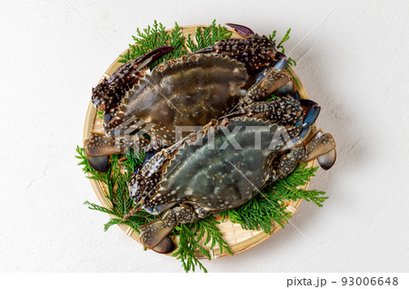 新鮮なワタリガニ 93006648