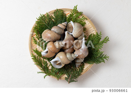 新鮮な白ばい貝 93006661