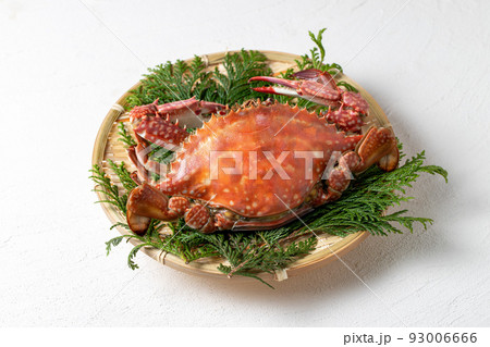 茹でたてのワタリガニ 茹でたてのワタリガニ 93006666