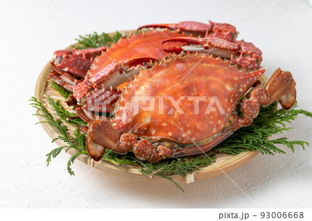 茹でたてのワタリガニ 茹でたてのワタリガニ 93006668
