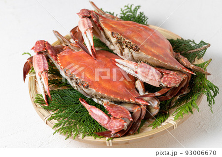 茹でたてのワタリガニ 茹でたてのワタリガニ 93006670