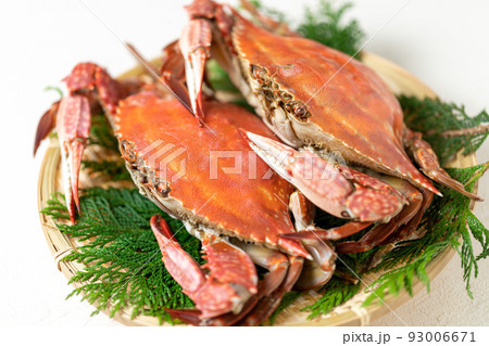 茹でたてのワタリガニ 93006671