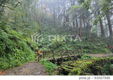 跡 林 森 93007986