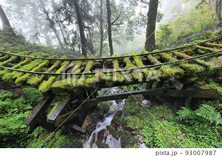 跡 林 森 93007987