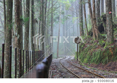 林 森 樹林 93008016