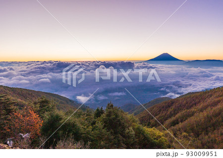 （山梨県）大雲海に浮かぶ富士山　日の出 93009951