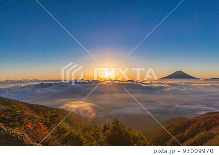 （山梨県）大雲海に浮かぶ富士山　日の出 93009970