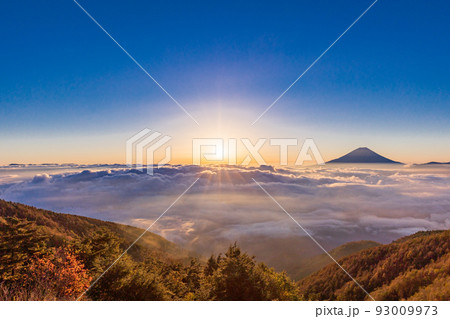(山梨県)大雲海に浮かぶ富士山 日の出 (山梨県)大雲海に浮かぶ富士山 日の出 93009973