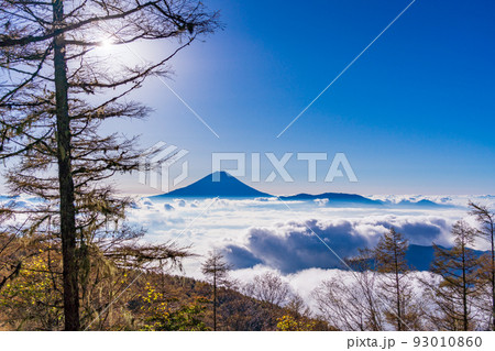 （山梨県）櫛形山の山麓から眺める、大雲海に浮かぶ富士山 93010860