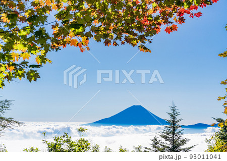 （山梨県）紅葉が始まった櫛形山の山麓から眺める、富士山 93011041