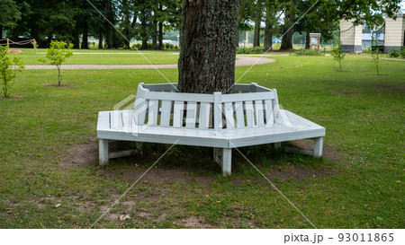 A white wooden bench in the park near a tree trunk in the shade of leaves 93011865
