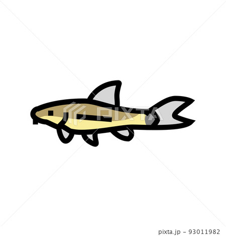 otocinclus fish color icon vector illustration 93011982