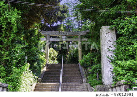 東京都　代々木八幡宮　一の鳥居 93012991