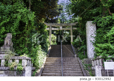 東京都　代々木八幡宮　一の鳥居 93012992