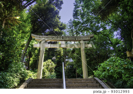 東京都　代々木八幡宮　一の鳥居 93012993