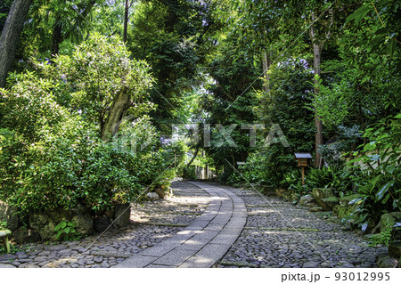 東京都 代々木八幡宮 参道 東京都 代々木八幡宮 参道 93012995