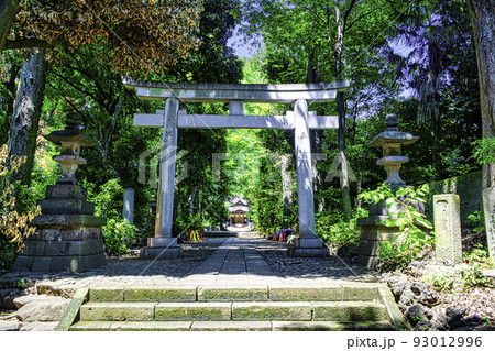 東京都　代々木八幡宮　二の鳥居 93012996