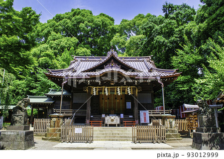 東京都 代々木八幡宮 拝殿 東京都 代々木八幡宮 拝殿 93012999