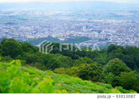 若草山から興福寺・奈良県庁を見下ろす 若草山から興福寺・奈良県庁を見下ろす 93013087