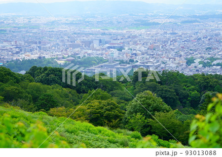若草山から興福寺・奈良県庁を見下ろす 93013088