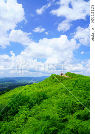 夏の大空と緑・若草山の山頂 93013125