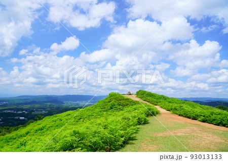 真夏の若草山・大空と白雲 93013133