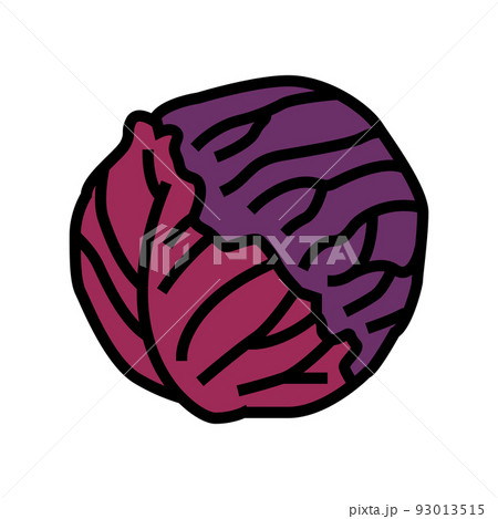 red cabbage color icon vector illustration red cabbage color icon vector illustration 93013515