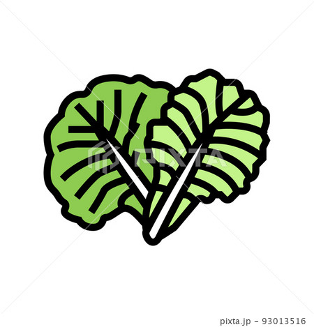 leaf cabbage color icon vector illustration leaf cabbage color icon vector illustration 93013516